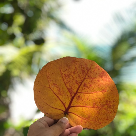 Meet Your Posher, Emma! 🔅 - Picture 2 of 9